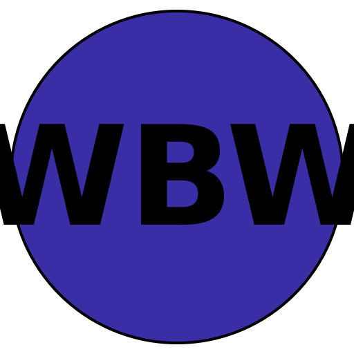 Wise Beauty Weddings